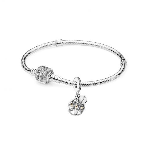 Pandora潘多拉 RAU0027 家族传承手链套装 Family Heritage Bracelet Set